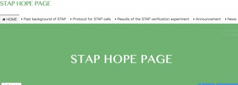 stap-hope-page-obokata-7-480x173 STAP HOPE PAGE、小保方晴子の英語が洒落にならない
